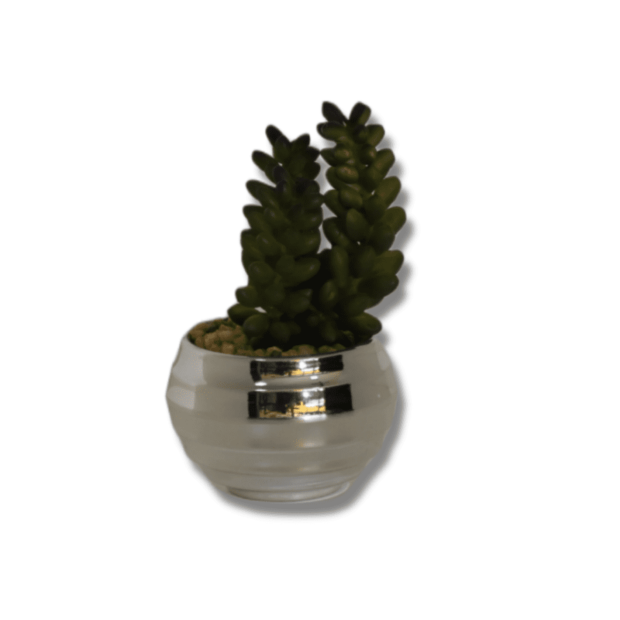 PLANTA BASE PLATA