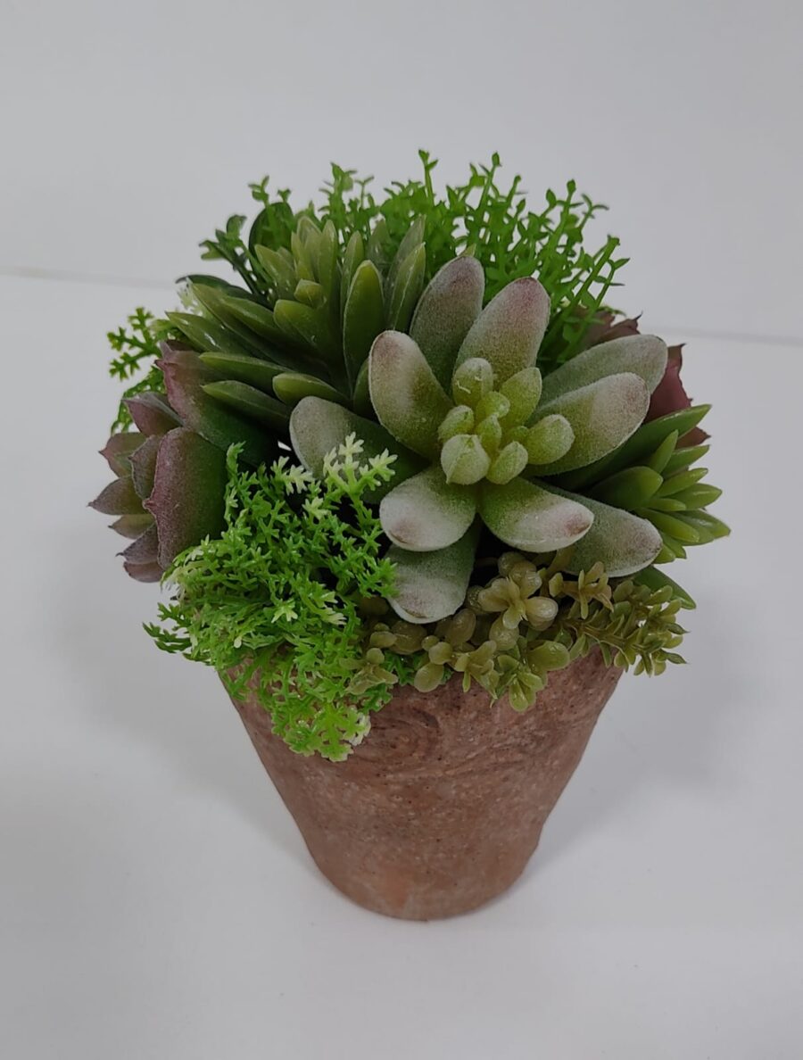 PLANTA CON MACETA CERAMICA