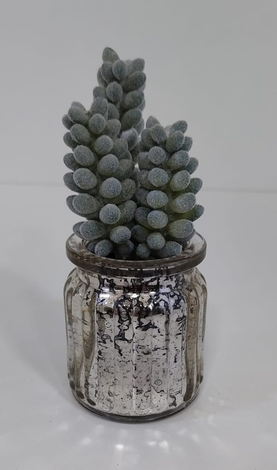 MINI PLANTA CON MACETA PLATEADA