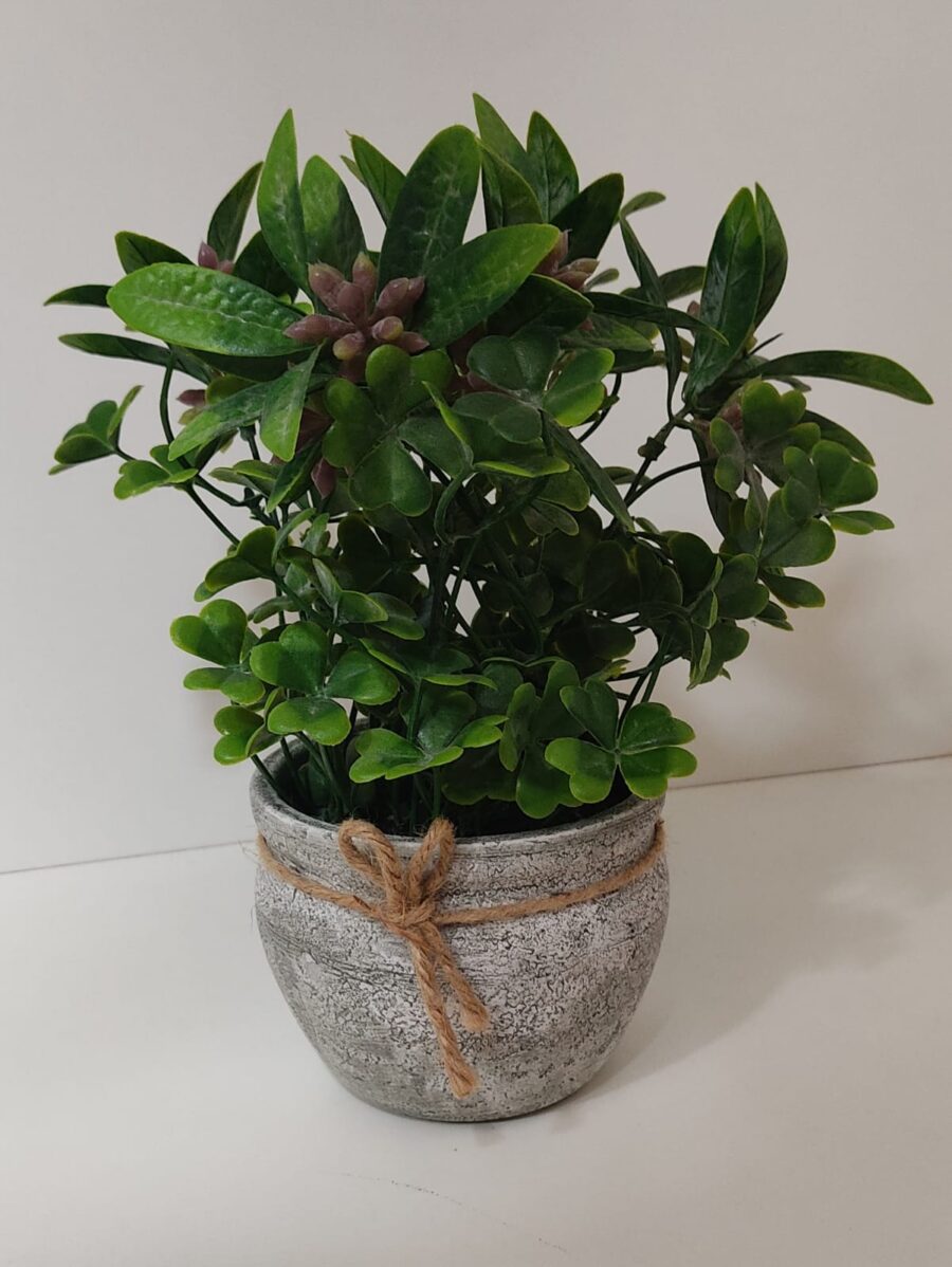 PLANTA CON MACETA 25 CM