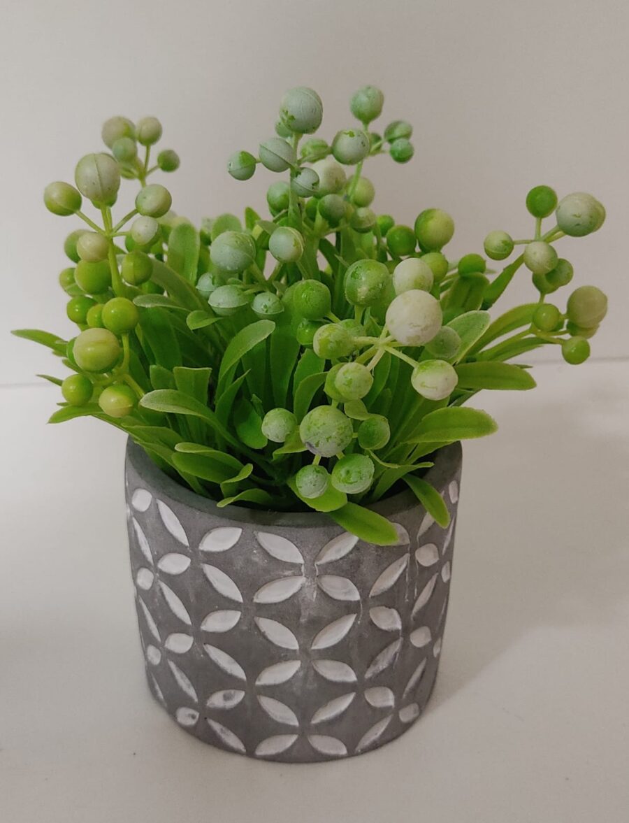 PLANTA CON MACETA 18 CM