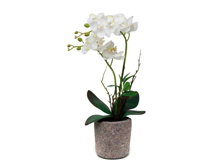 Orquídea Nº9 BLANCA 11X43