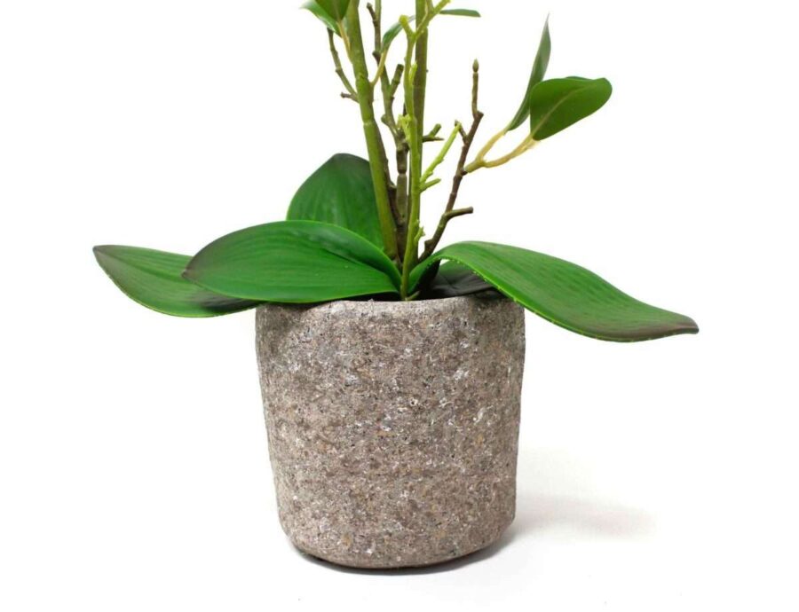 Orquídea Nº9 BLANCA 11X43