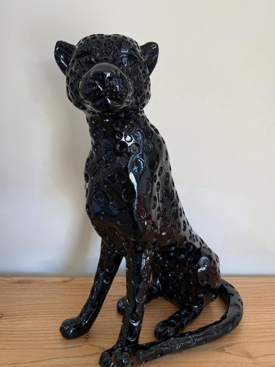 LEOPARDO NEGRO