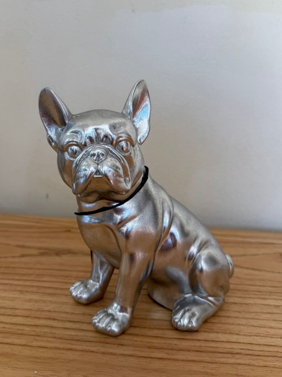 BULLDOG PERRO