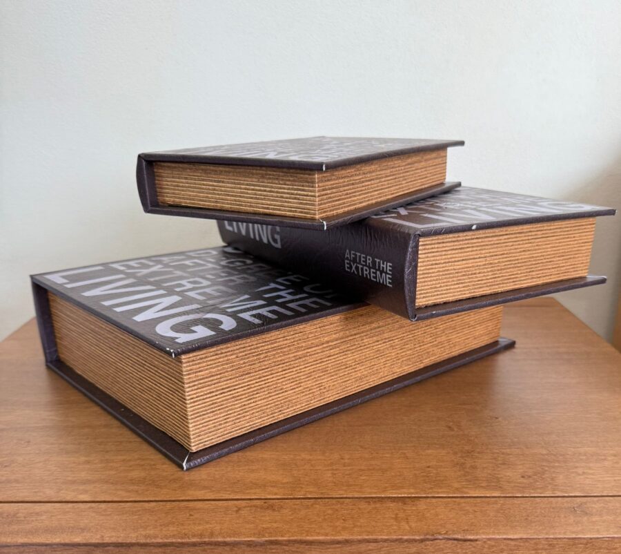 CAJA LIBRO SET X 3   20X21X7 - 26X17X5 - 21X13X3