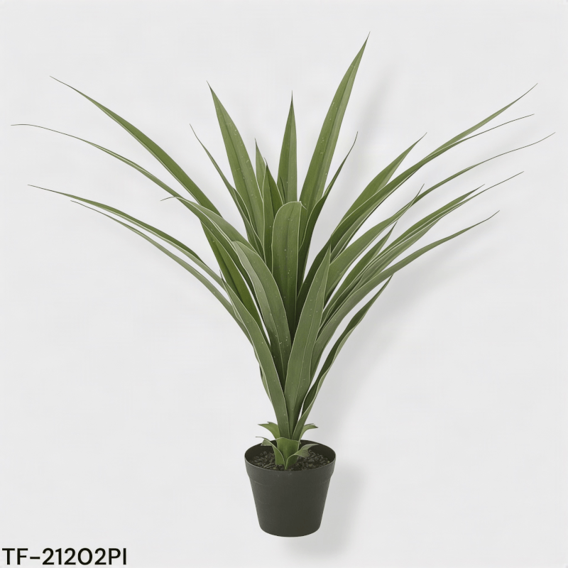 DRACENA C/MAC 96 CM